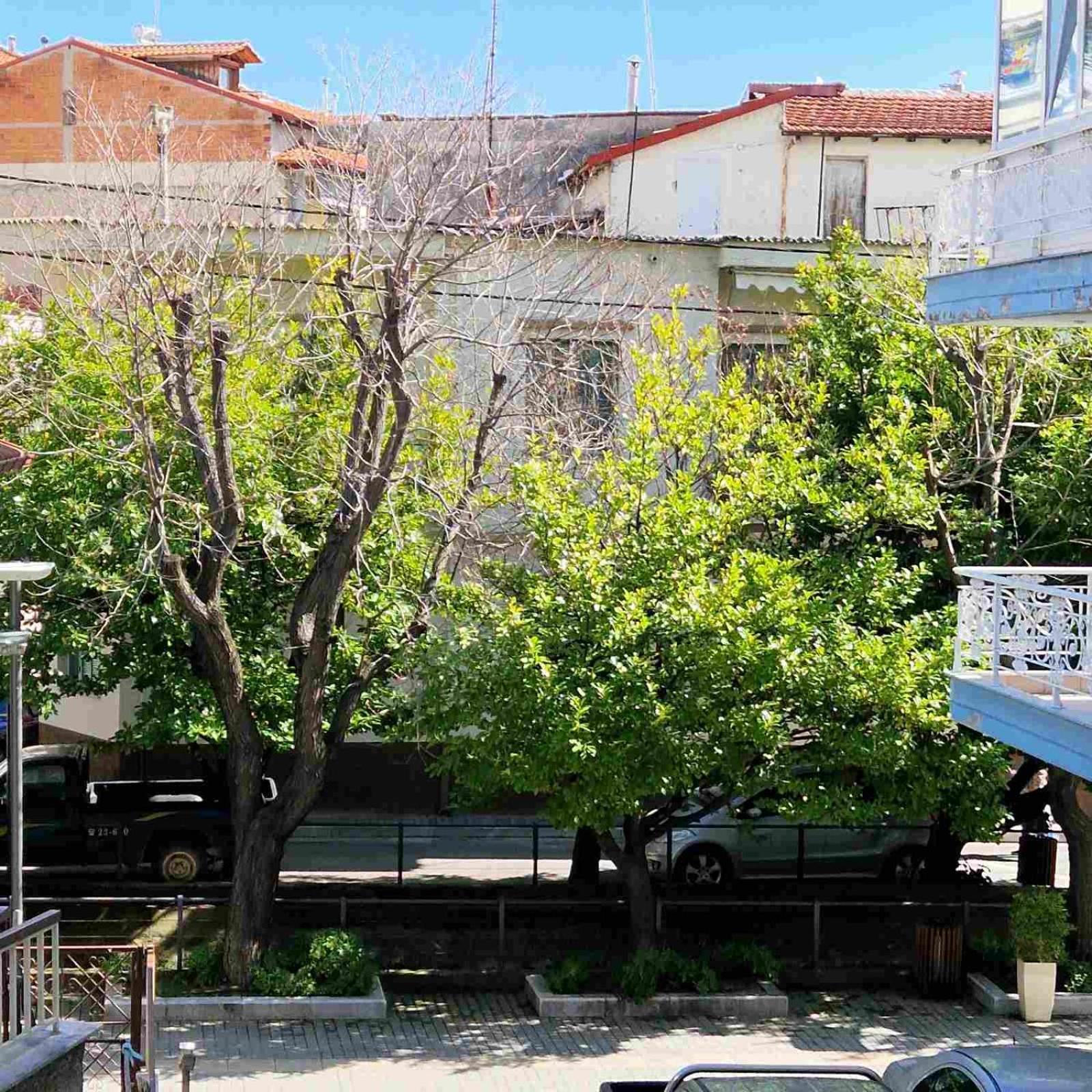 אדסה N&S Apartment B מראה חיצוני תמונה